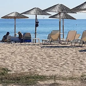 https://ammos-seafront-family-hotel.hotelschalkidiki.net